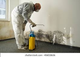 Best Mold Prevention Services  in Pleak, TX